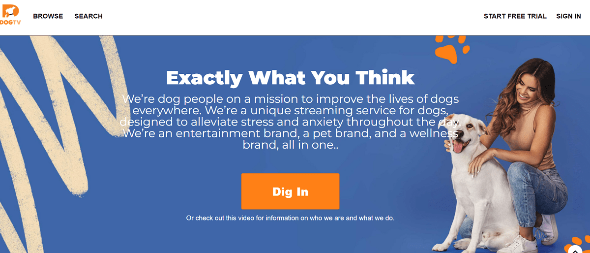 Tài khoản Dog TV Premium 5 Tài khoản Dog TV Premium 1