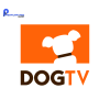 Tài khoản Dog TV Premium