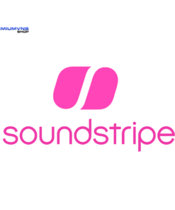 Tài khoản Soundstripe Pro giá rẻ