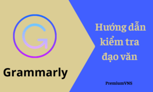 tài khoản Grammarly 3