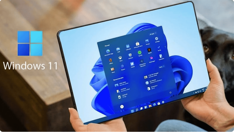 Key Windows 11 bản quyền