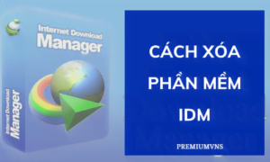 Cách xóa phần mềm Internet Download Manager