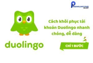 Cách khôi phục tài khoản duolingo