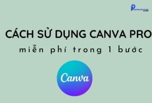 Cách sử dụng canva pro cho sinh viên miễn phí trong 1 bước