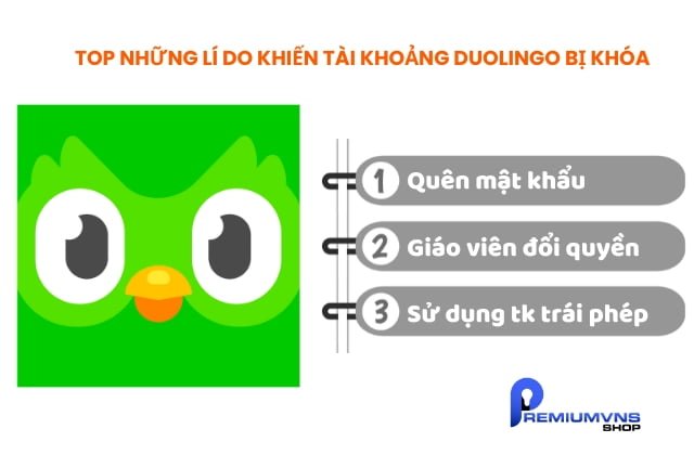 Top những lí do khiến tài khoản Duolingo bị khóa