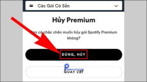 Nếu hủy Spotify Premium bị dừng tính năng ngay lập tức không?