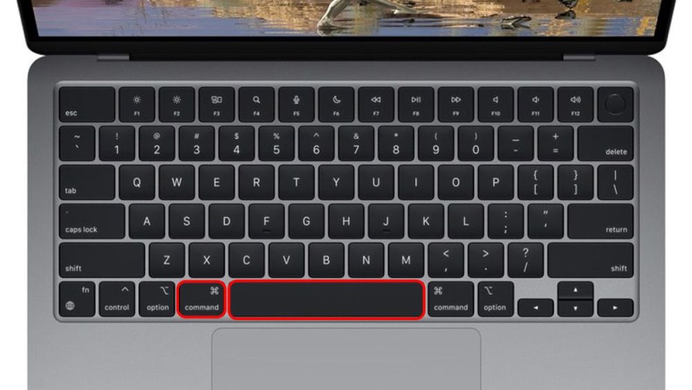 4 Cách khắc phục phầm mềm Adobe bị quét bản quyền đơn giản nhất 31 Bước 2: Mở ứng dụng Terminal bằng cách nhấn Command + Space