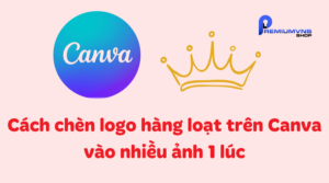 Cách chèn logo hàng loạt trên Canva vào nhiều ảnh 1 lúc