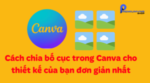 Cách chia bố cục trong Canva cho thiết kế của bạn đơn giản nhất