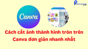 Cách cắt ảnh thành hình tròn trên Canva đơn giản nhanh nhất