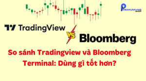 So sánh Tradingview và Bloomberg Terminal: Dùng gì tốt hơn?