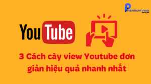 3 Cách cày view Youtube