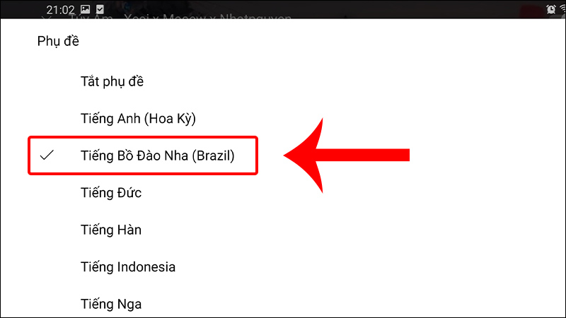 3 Cách bật/tắt và tùy chỉnh phụ đề tiếng việt trên Youtube chi tiết từ A đến Z 42 Lựa chọn ngôn ngữ phụ đề mà bạn muốn hiển thị
