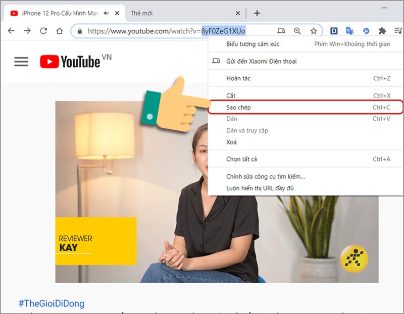 6 Cách lấy ảnh đại diện từ Video YouTube theo kích cỡ ảnh mong muốn đơn giản nhất 11 Bạn sao chép ID video