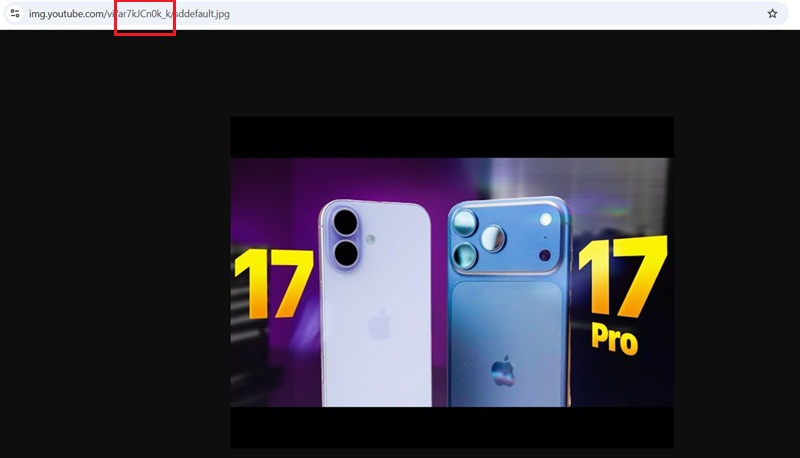 5 Cách tải ảnh thumbnail YouTube miễn phí, sắc nét chỉ trong vài phút 6 Bạn dán ID video của bạn vào đường link