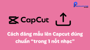 Cách đăng mẫu lên Capcut​ đúng chuẩn “trong 1 nốt nhạc”