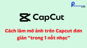 Cách làm mờ ảnh trên Capcut đơn giản