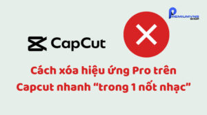 Cách xóa hiệu ứng Pro trên Capcut nhanh “trong 1 nốt nhạc”