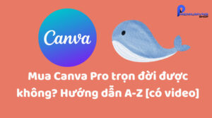 Mua Canva Pro trọn đời được không?