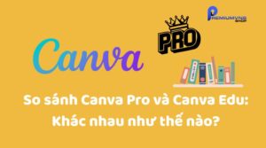 So sánh Canva Pro và Canva Edu