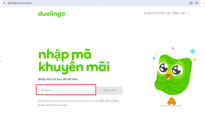 Bạn nhấn nút "Sử dụng mã" để áp dụng Bạn nhấn nút "Sử dụng mã" để áp dụng