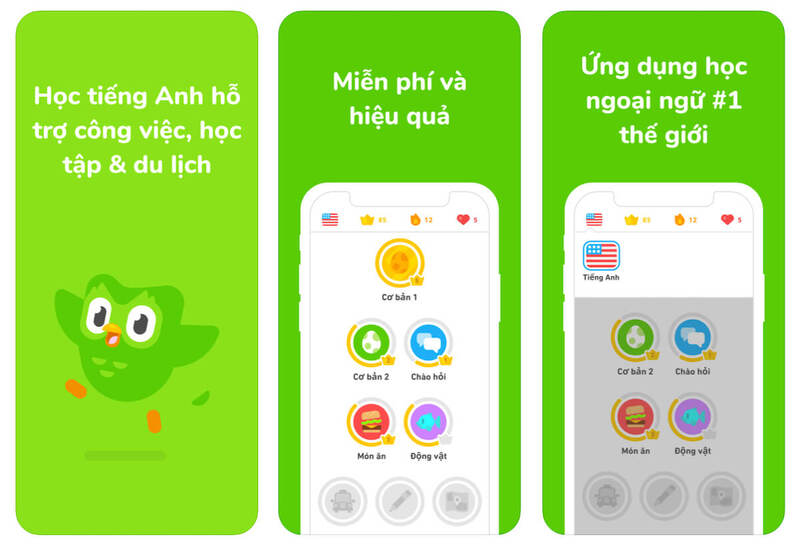Duolingo giúp bạn luyện tập toàn diện 4 kỹ năng Duolingo giúp bạn luyện tập toàn diện 4 kỹ năng