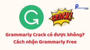 Grammarly Crack