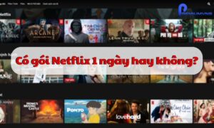 Có gói Netflix 1 ngày hay không?