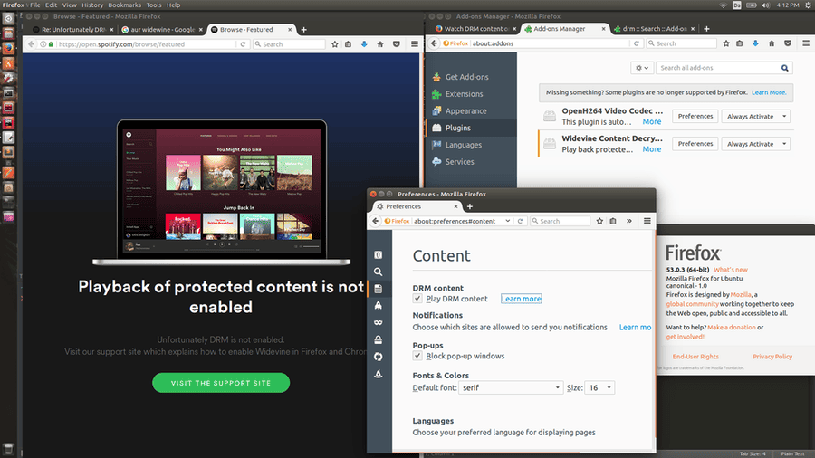 Kiểm tra chế độ bật nội dung được bảo vệ để khắc phục tình trạng Spotify không phát nhạc trên trình duyệt web